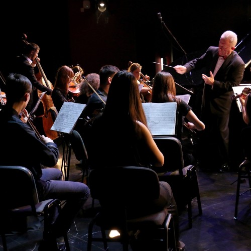 Koncert Lwowskiej Orkiestry Kameralnej